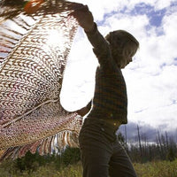 Charlotte's Web Shawl Download