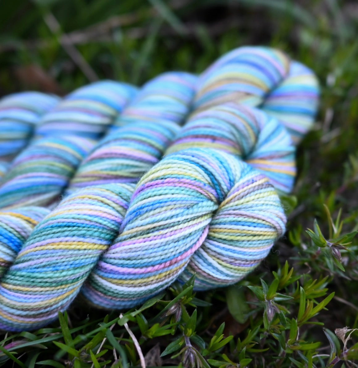 Koigu Collector Originals / skein