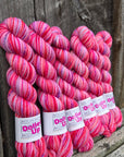 Koigu Collector Originals / skein