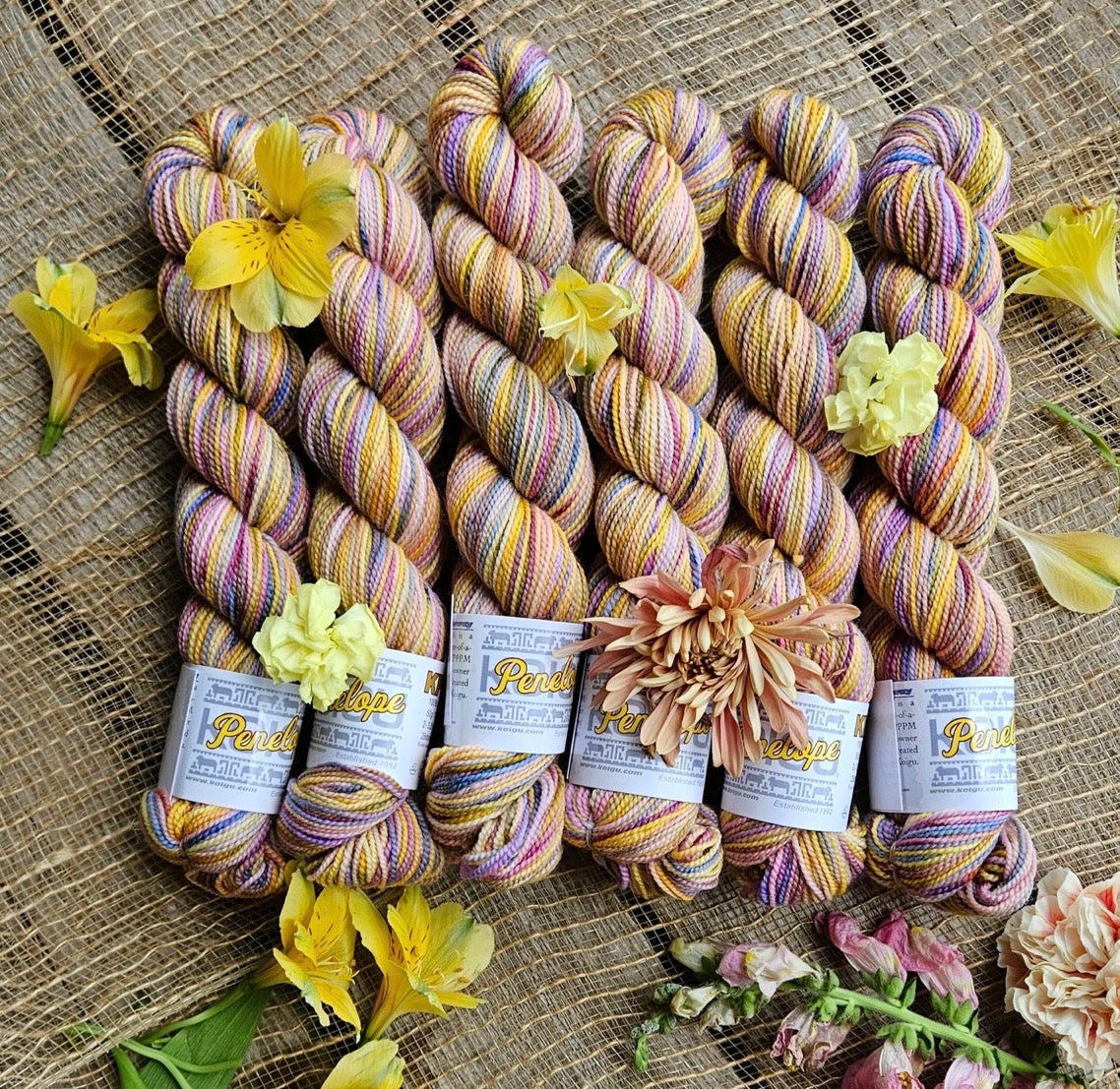 Koigu Collector Originals / skein