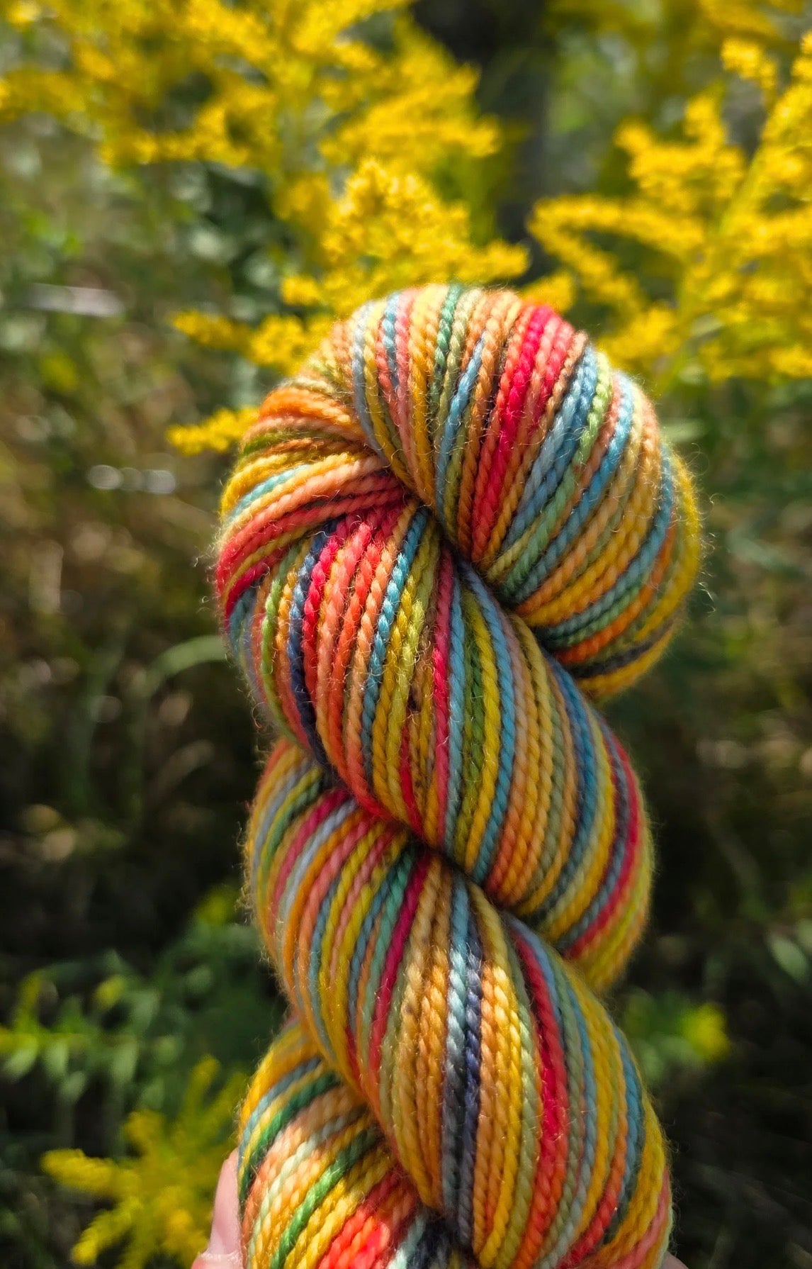 Koigu Collector Originals / skein