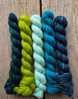 Apple Blossom Socks - PDF Pattern