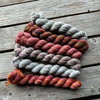 Corriedale / Corriedale Gotland 6 mini skein pack