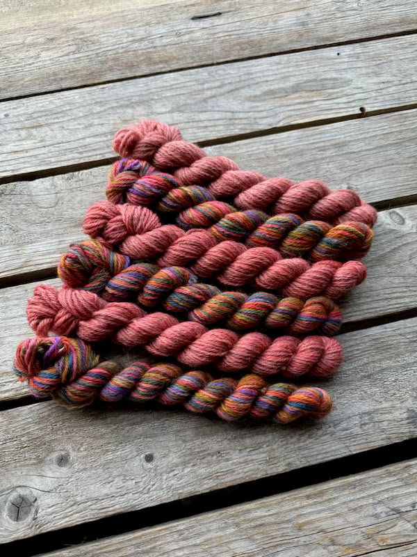 Corriedale / Corriedale Gotland 6 mini skein pack