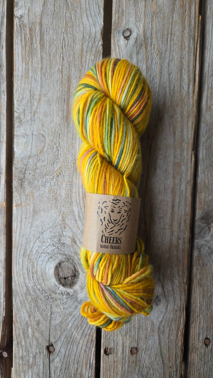 SINGLE Skeins - Cheers single Merino/ Lincoln SALE