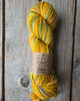 SINGLE Skeins - Cheers single Merino/ Lincoln SALE