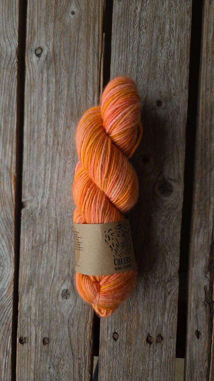 SINGLE Skeins - Cheers single Merino/ Lincoln SALE