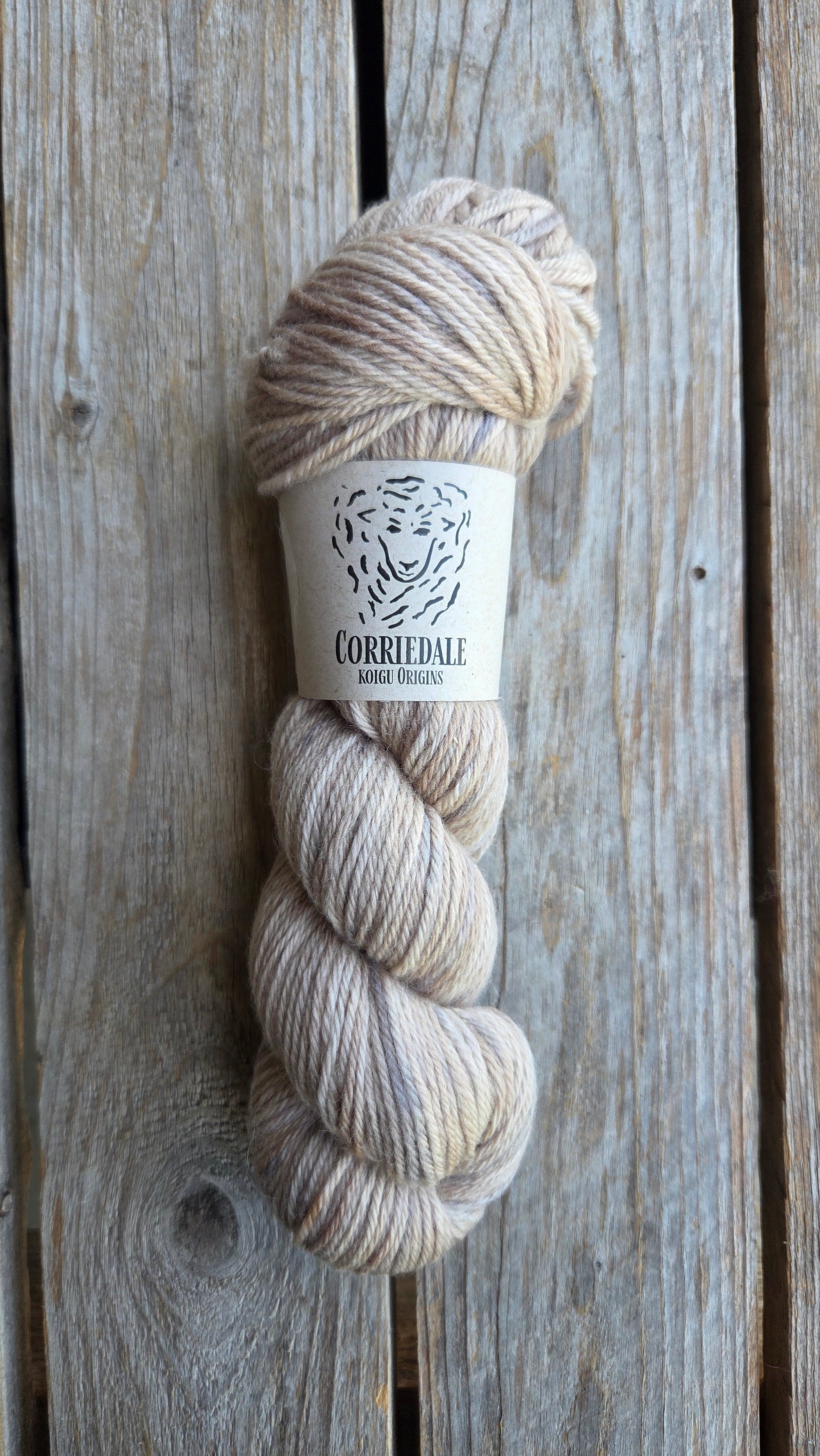 Corriedale Singles - SALE