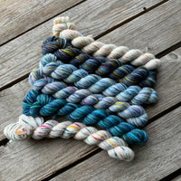 Corriedale / Corriedale Gotland 6 mini skein pack