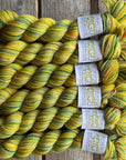 Koigu Collector Originals / skein