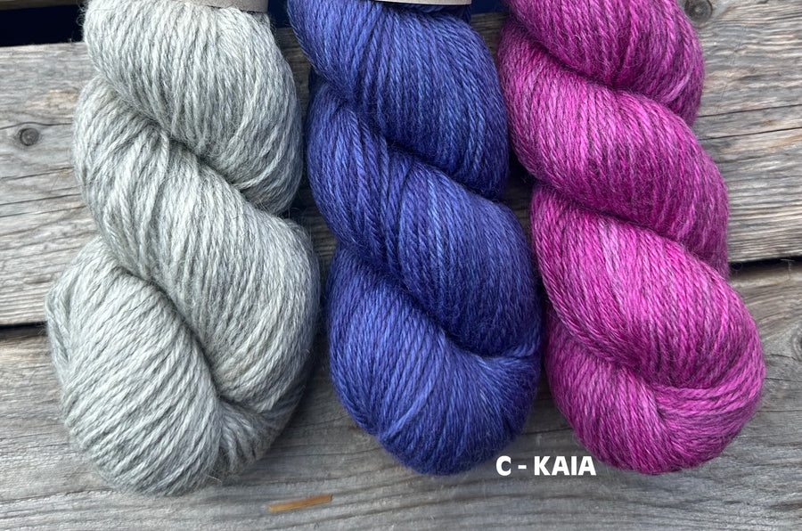 Autumn Harvest Sweater Kit