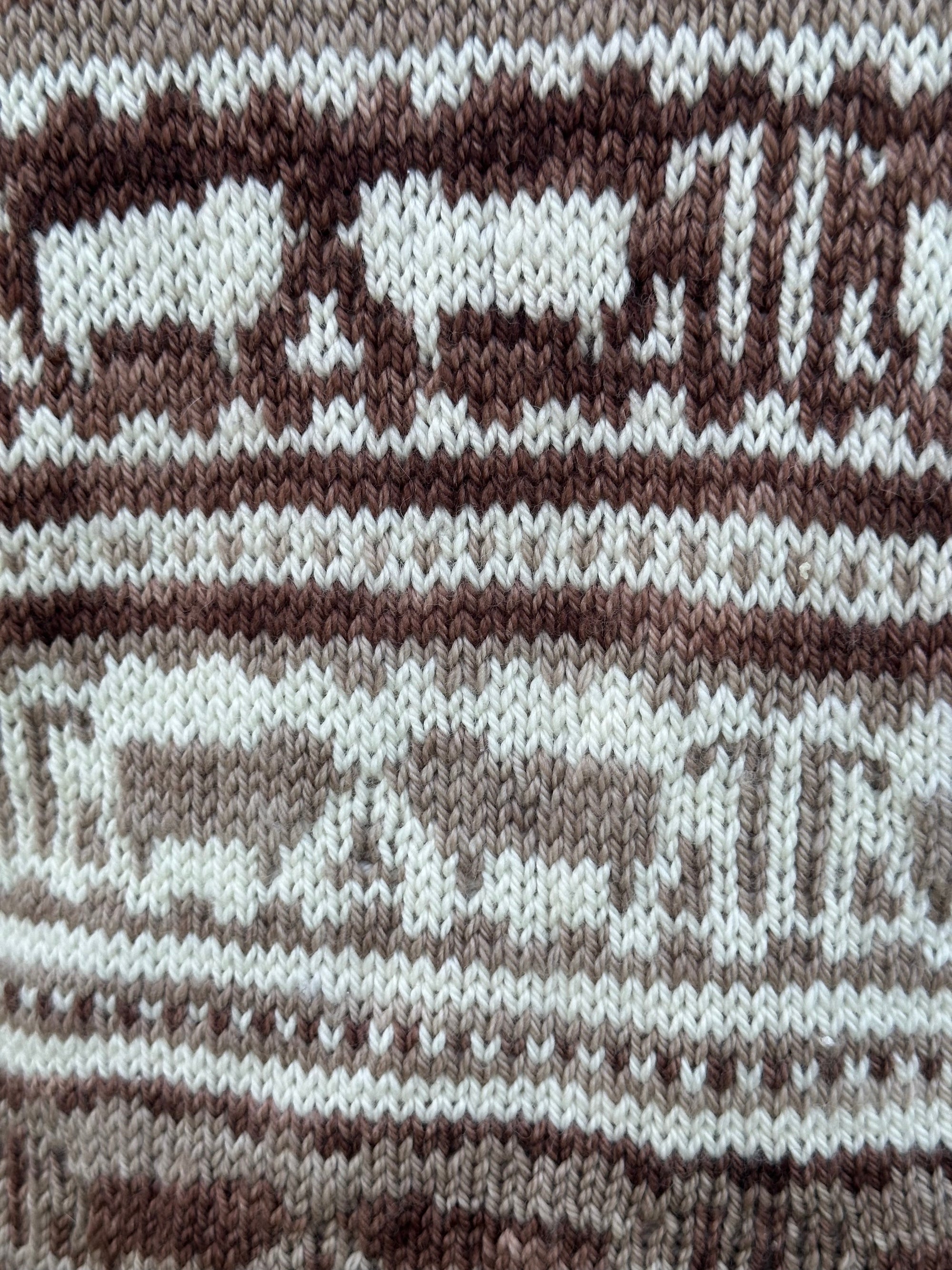 Koigu Sheep Sweater Kit