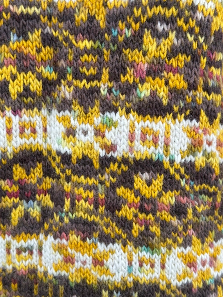 Visions of Spring Sweater Kit