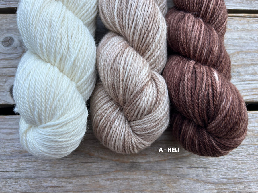 Koigu Sheep Sweater Kit