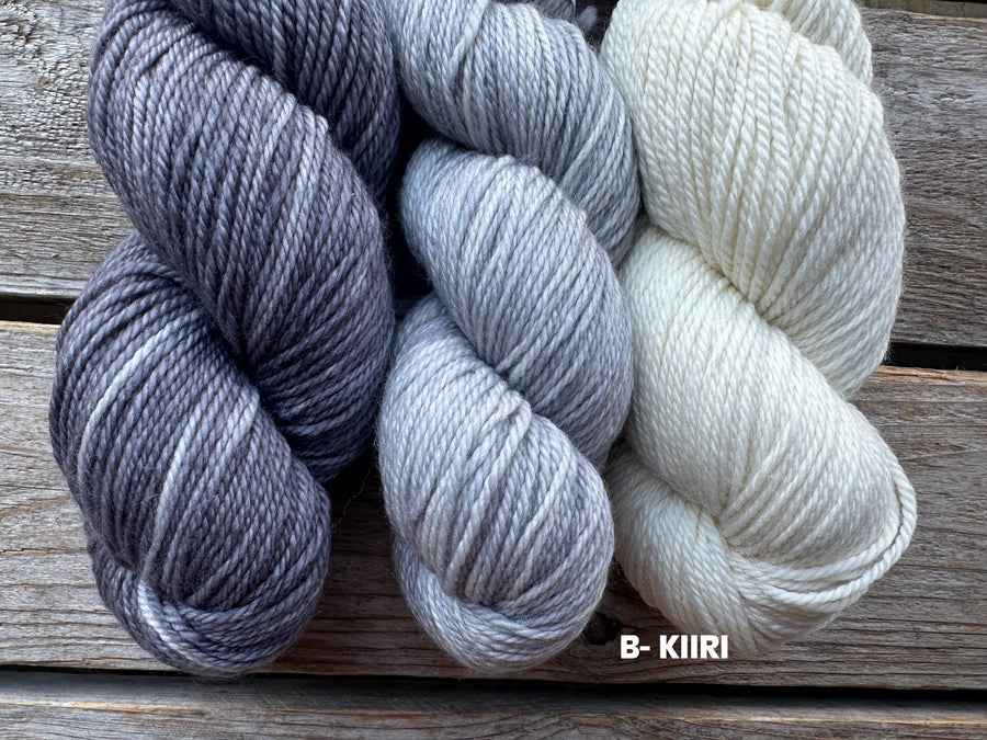 Koigu Sheep Sweater Kit