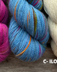 Koigu Sheep Sweater Kit
