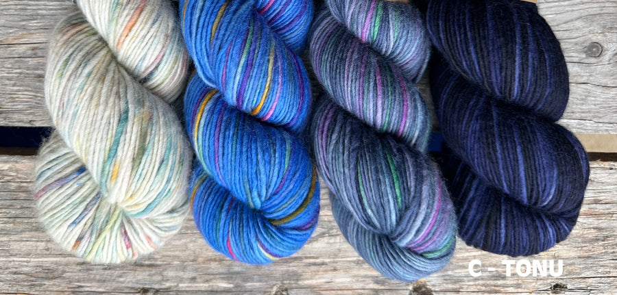 Visions of Spring Sweater Kit