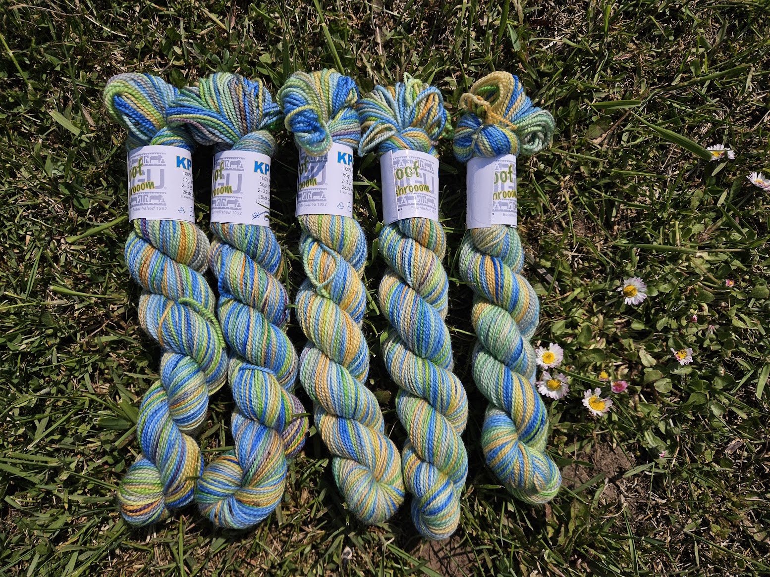 Koigu Collector Originals / skein