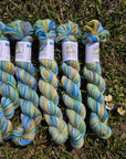 Koigu Collector Originals / skein