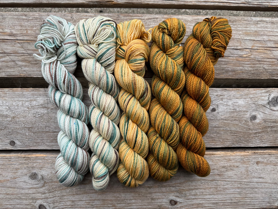 Gradient Family Color Sets KPPPM