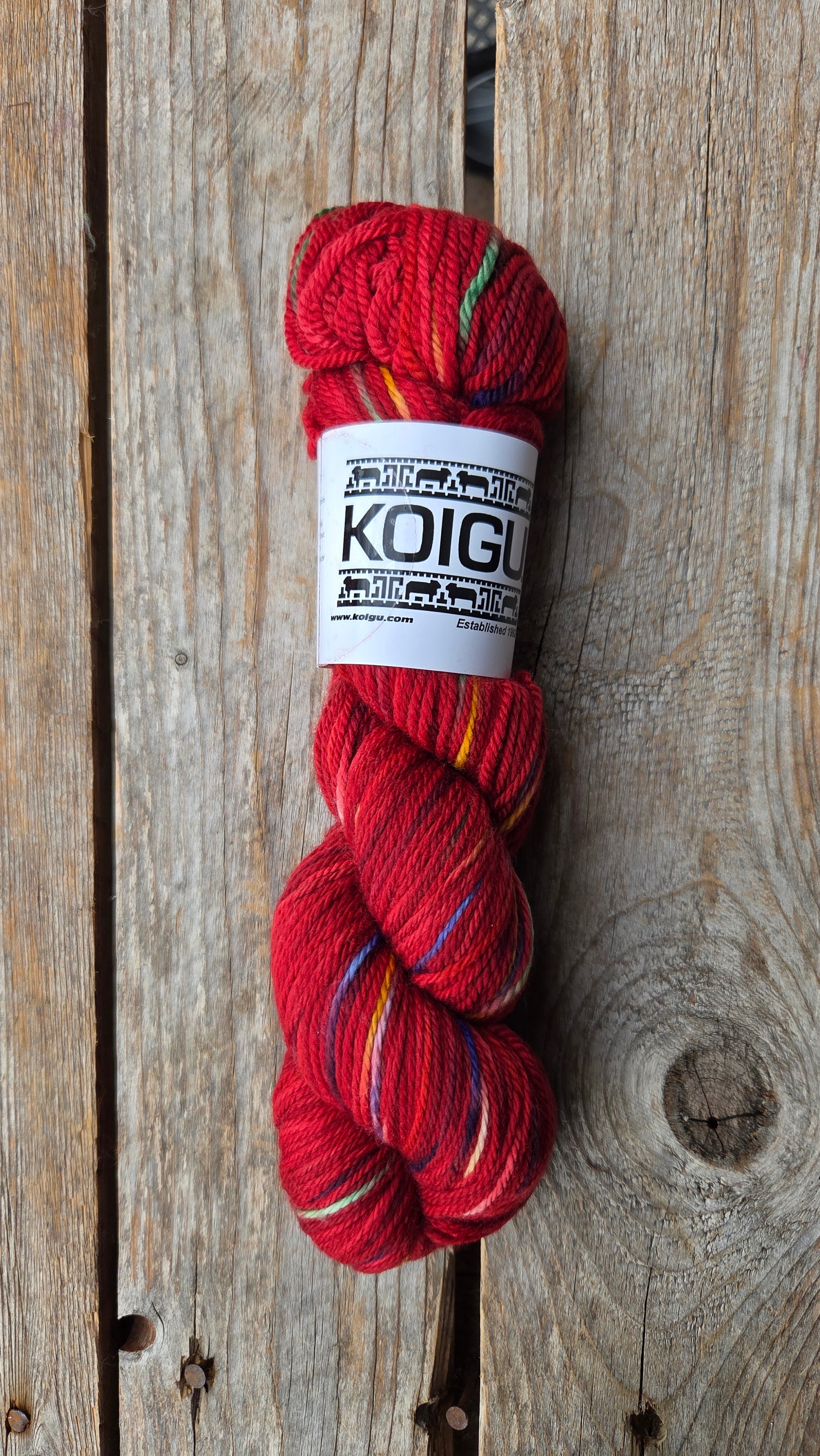 Single Variegated Skeins - Jasmine DK Merino - SALE