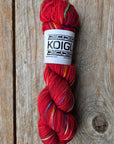 Single Variegated Skeins - Jasmine DK Merino - SALE