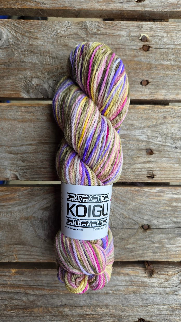 Single Variegated Skeins - Jasmine DK Merino - SALE