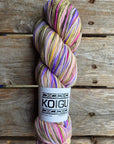 Single Variegated Skeins - Jasmine DK Merino - SALE