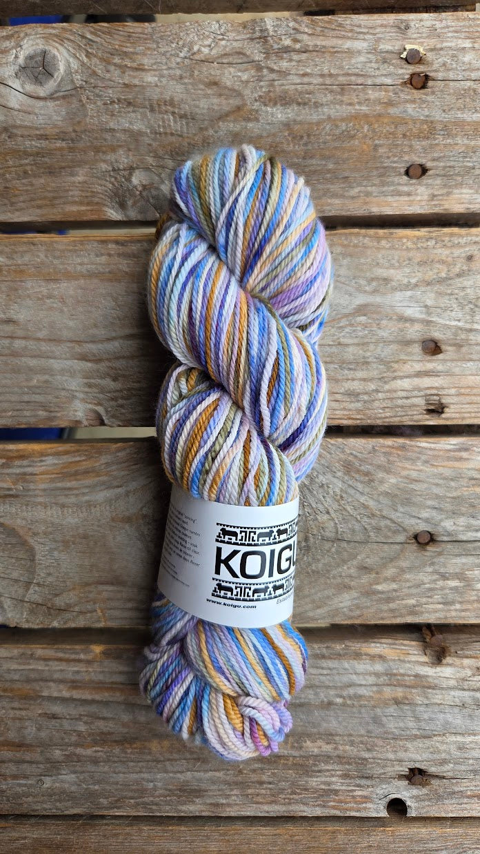 Single Variegated Skeins - Jasmine DK Merino - SALE