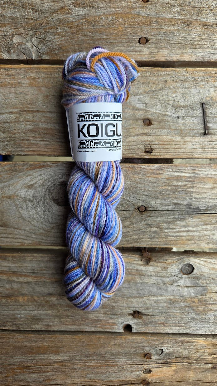 Single Variegated Skeins - Jasmine DK Merino - SALE