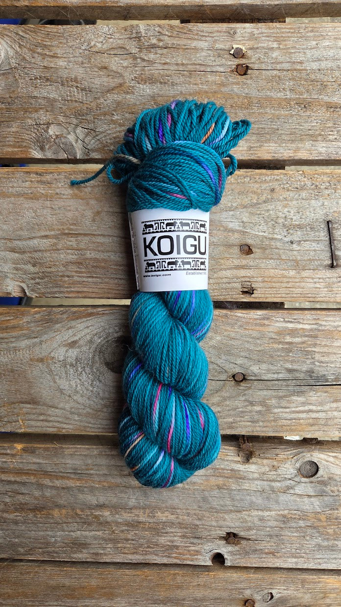Single Variegated Skeins - Jasmine DK Merino - SALE