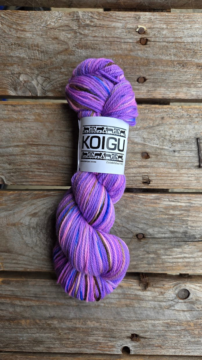 Single Variegated Skeins - Jasmine DK Merino - SALE