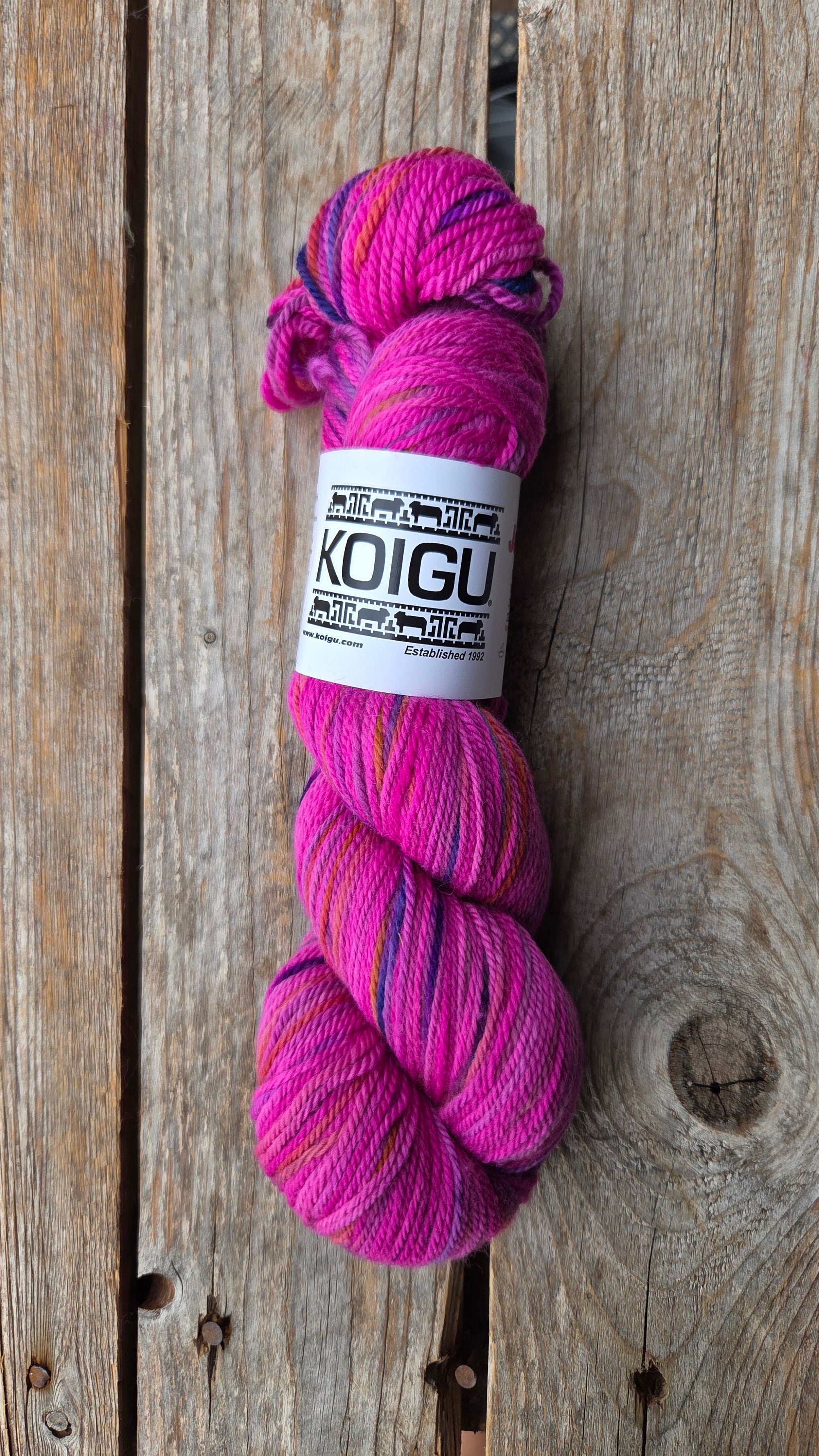 Single Variegated Skeins - Jasmine DK Merino - SALE
