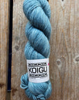 Single Tonal Skeins - Jasmine DK Merino - SALE