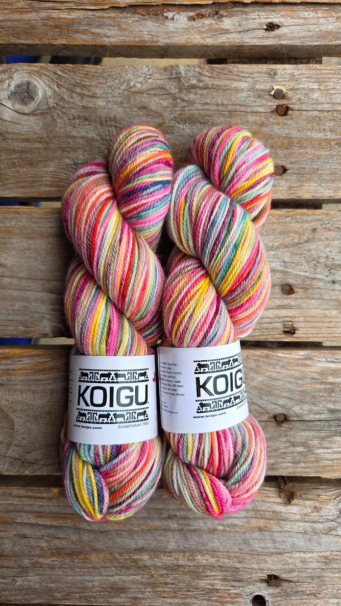 Single Variegated Skeins - Jasmine DK Merino - SALE
