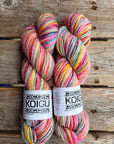 Single Variegated Skeins - Jasmine DK Merino - SALE