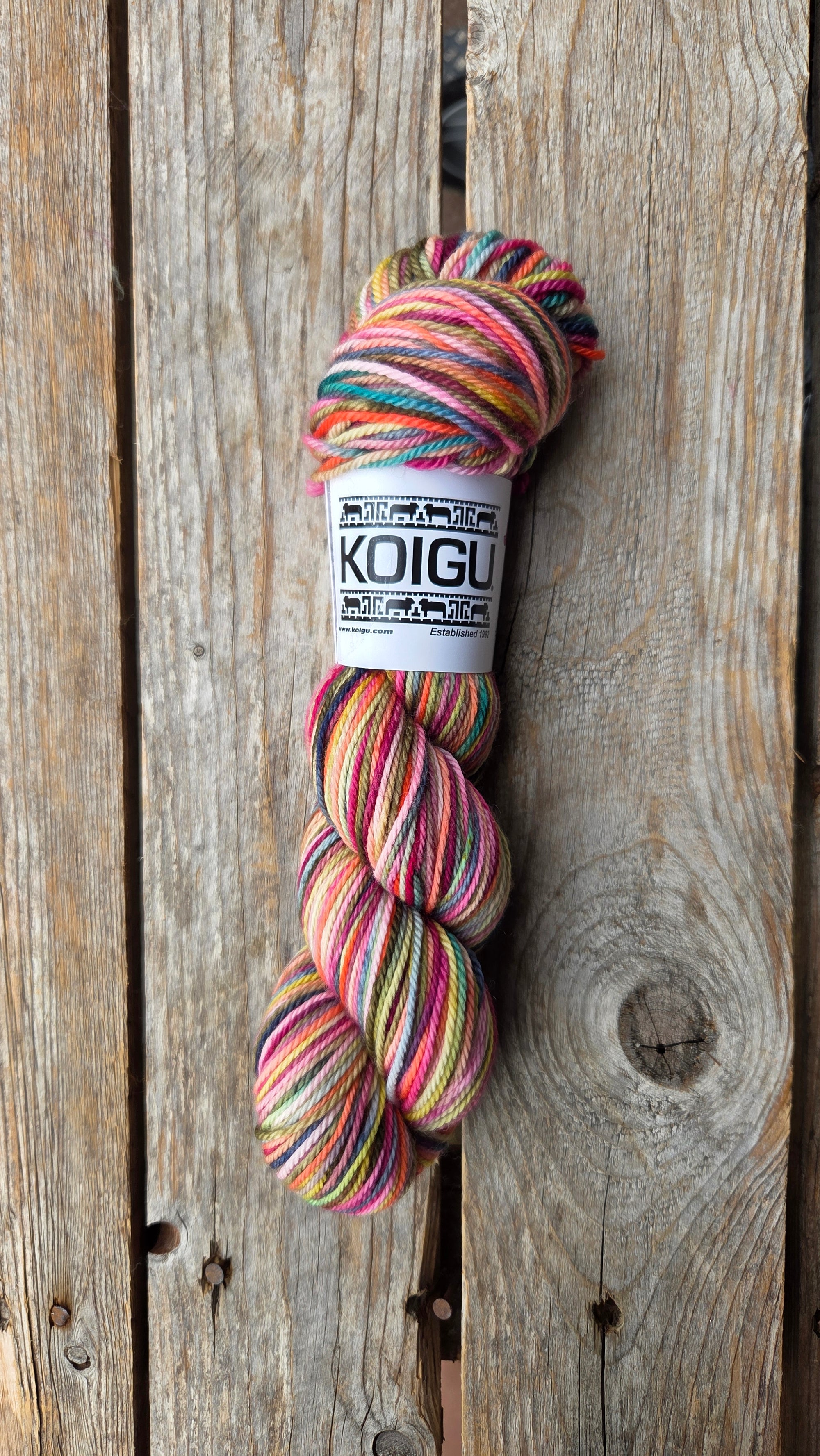 Single Variegated Skeins - Jasmine DK Merino - SALE