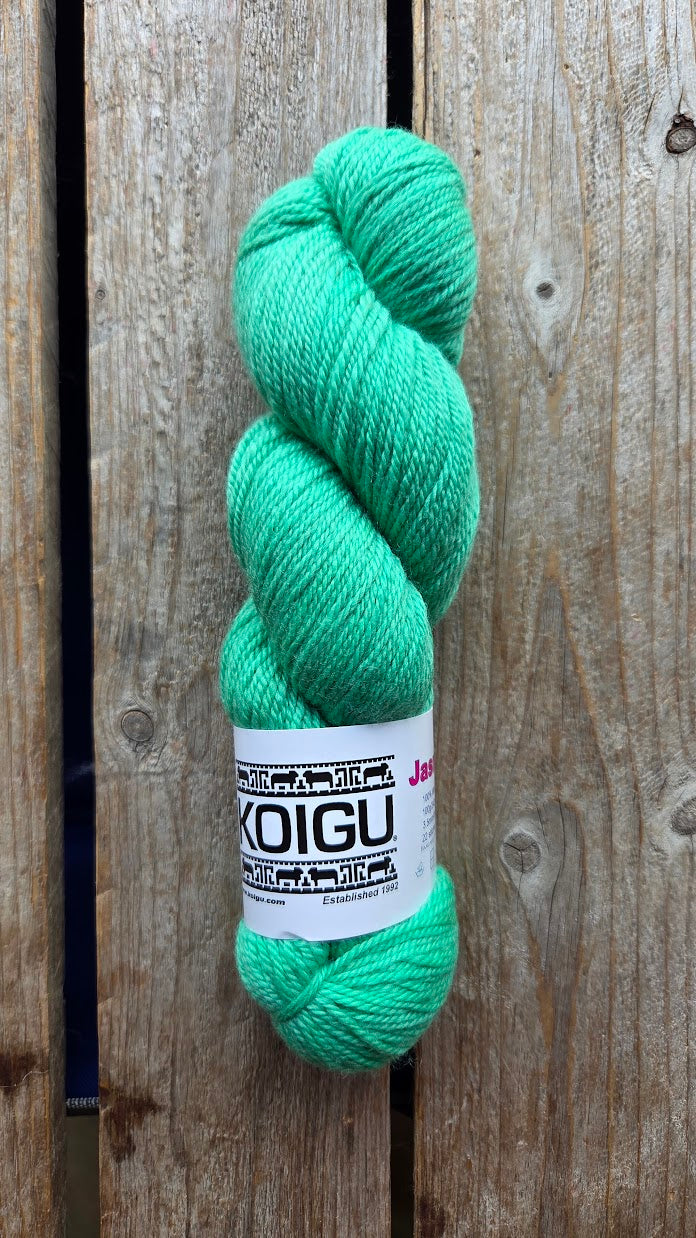 Single Tonal Skeins - Jasmine DK Merino - SALE