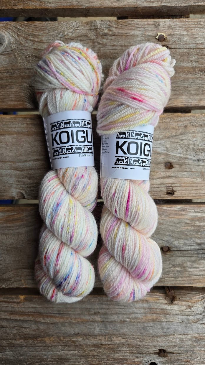 Single Variegated Skeins - Jasmine DK Merino - SALE