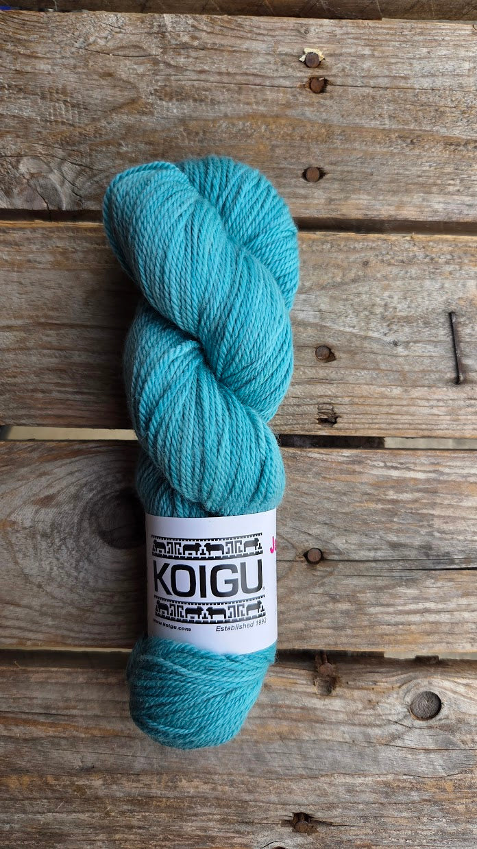 Single Tonal Skeins - Jasmine DK Merino - SALE