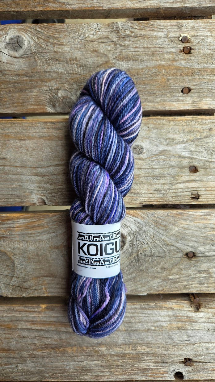 Single Variegated Skeins - Jasmine DK Merino - SALE