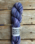 Single Variegated Skeins - Jasmine DK Merino - SALE