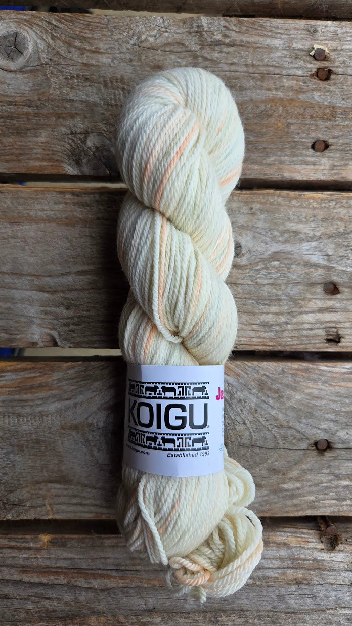 Single Variegated Skeins - Jasmine DK Merino - SALE
