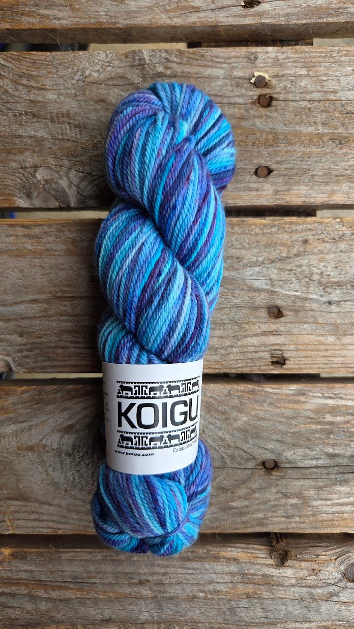 Single Variegated Skeins - Jasmine DK Merino - SALE
