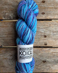 Single Variegated Skeins - Jasmine DK Merino - SALE