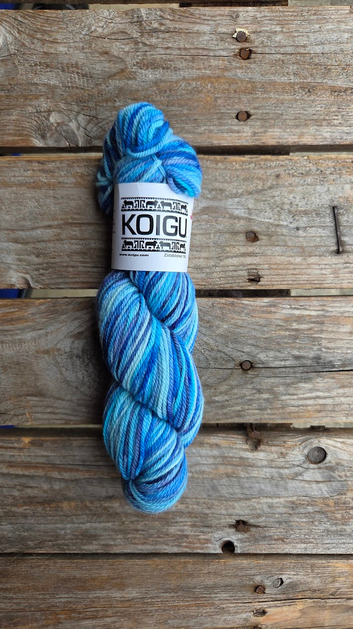 Single Variegated Skeins - Jasmine DK Merino - SALE