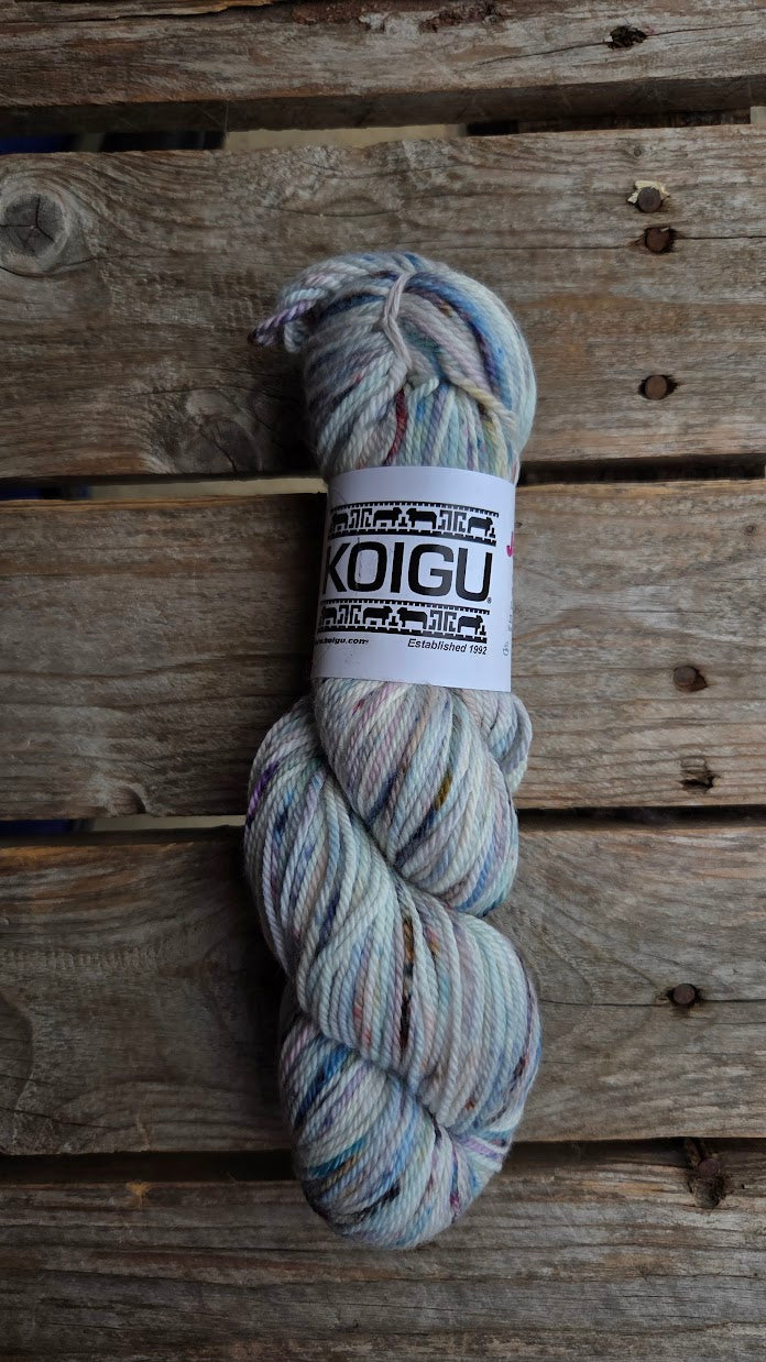 Single Variegated Skeins - Jasmine DK Merino - SALE