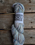 Single Variegated Skeins - Jasmine DK Merino - SALE