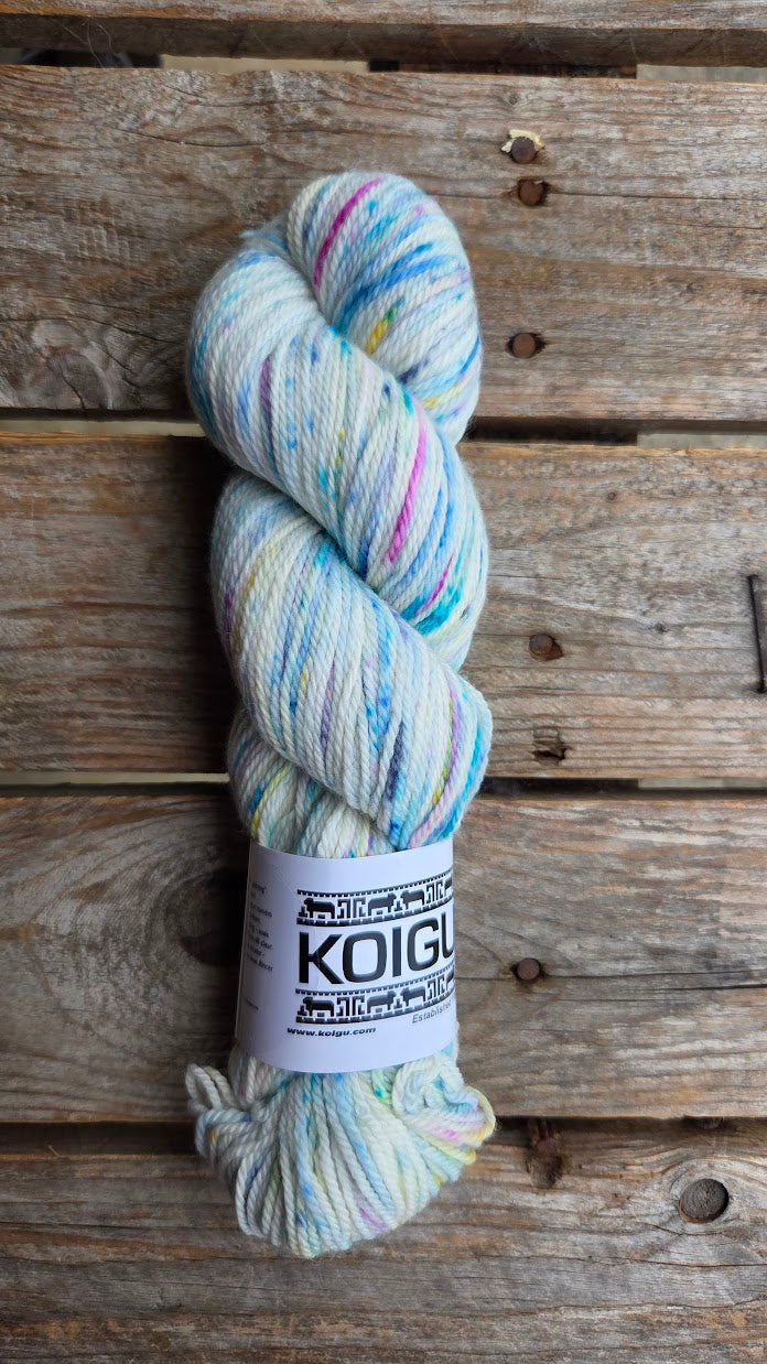 Single Variegated Skeins - Jasmine DK Merino - SALE