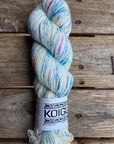 Single Variegated Skeins - Jasmine DK Merino - SALE